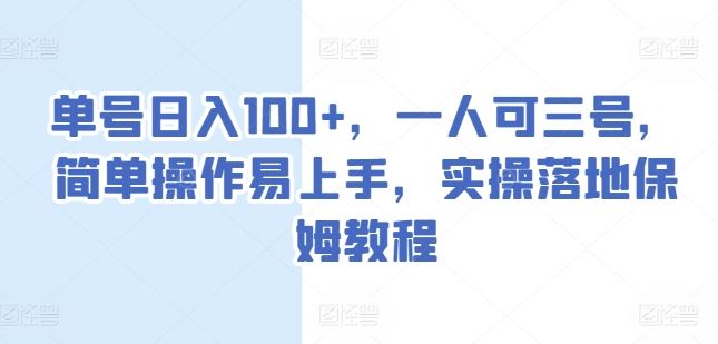 单号日入100+，一人可三号，简单操作易上手，实操落地保姆教程【揭秘】-占领资源网