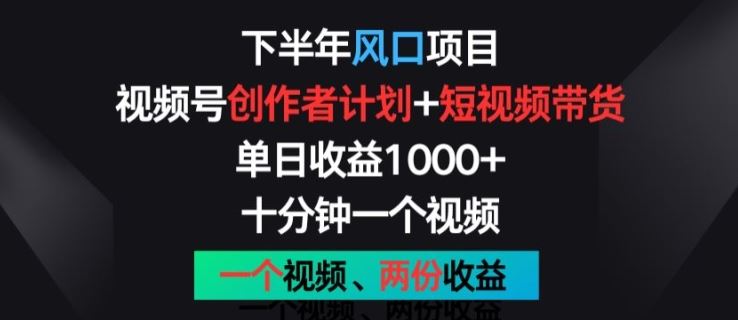 下半年风口项目，视频号创作者计划+视频带货，一个视频两份收益，十分钟一个视频【揭秘】-占领资源网