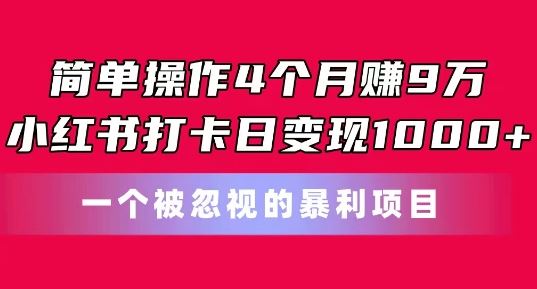 简单操作4个月赚9w，小红书打卡日变现1k，一个被忽视的暴力项目【揭秘】-占领资源网