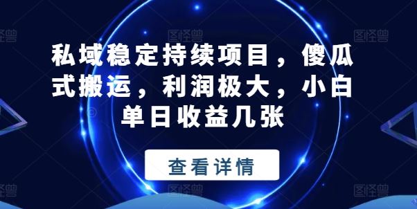 私域稳定持续项目，傻瓜式搬运，利润极大，小白单日收益几张【揭秘】-占领资源网