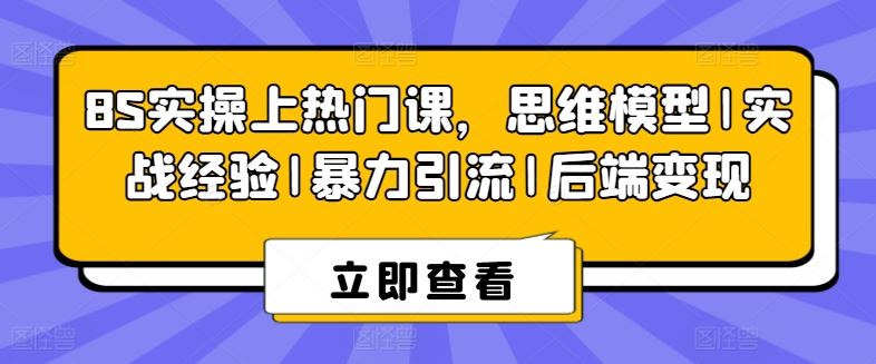 8S实操上热门课，思维模型|实战经验|暴力引流|后端变现-占领资源网