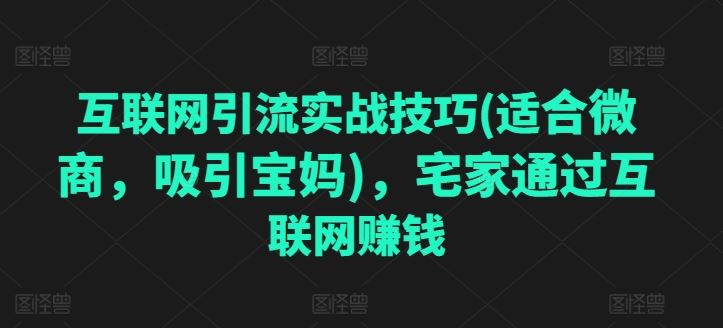 互联网引流实战技巧(适合微商，吸引宝妈)，宅家通过互联网赚钱-占领资源网