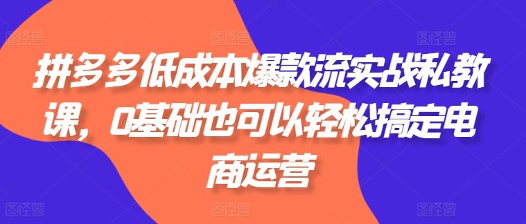 拼多多低成本爆款流实战私教课，0基础也可以轻松搞定电商运营-占领资源网
