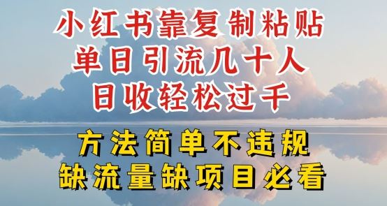 小红书靠复制粘贴单日引流几十人目收轻松过千，方法简单不违规【揭秘】-占领资源网