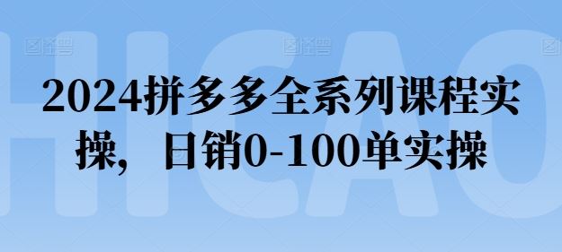 2024拼多多全系列课程实操，日销0-100单实操【必看】-占领资源网