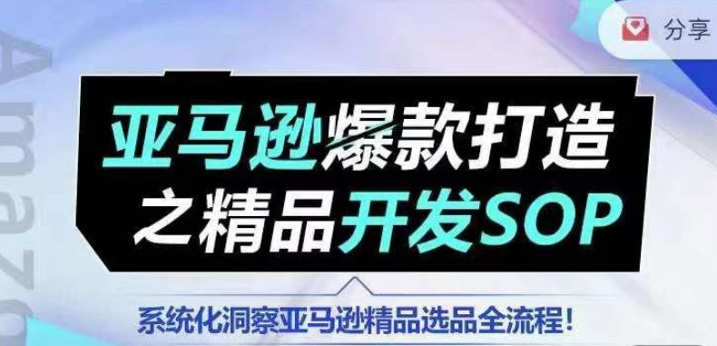 【训练营】亚马逊爆款打造之精品开发SOP，系统化洞察亚马逊精品选品全流程-占领资源网