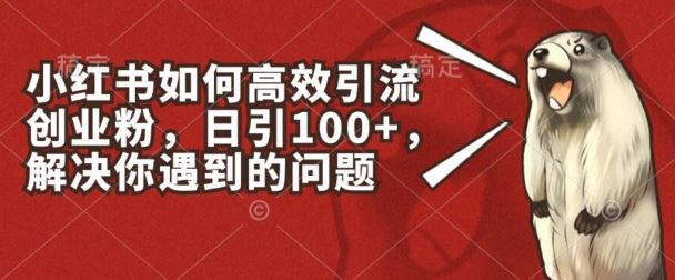 小红书如何高效引流创业粉，日引100+，解决你遇到的问题【揭秘】-占领资源网