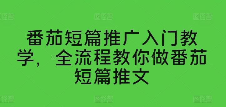 番茄短篇推广入门教学，全流程教你做番茄短篇推文-占领资源网
