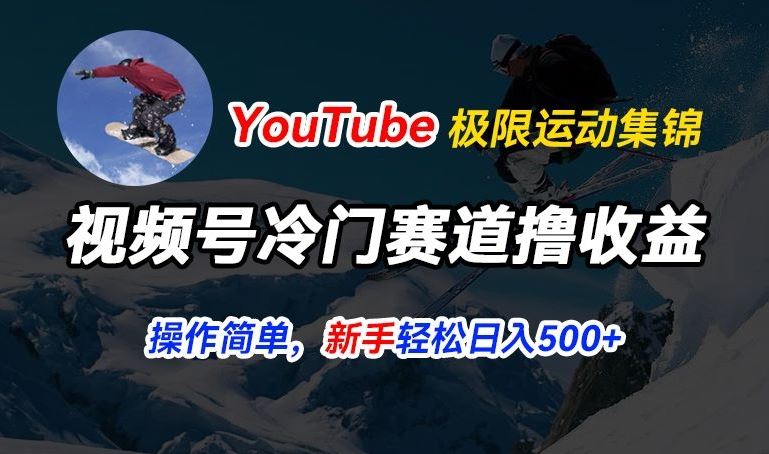 视频号冷门赛道撸收益，YouTube搬运极限运动集锦，暴力起号，操作简单流量高，轻松日入5张【揭秘】-占领资源网