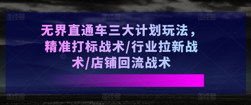 无界直通车三大计划玩法，精准打标战术/行业拉新战术/店铺回流战术-占领资源网