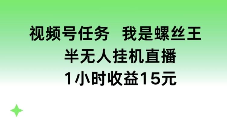 视频号任务，我是螺丝王， 半无人挂机1小时收益15元【揭秘】-占领资源网