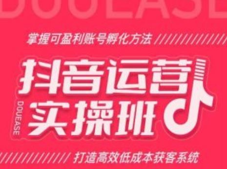 抖音运营实操班，掌握可盈利账号孵化方法，打造高效低成本获客系统-占领资源网