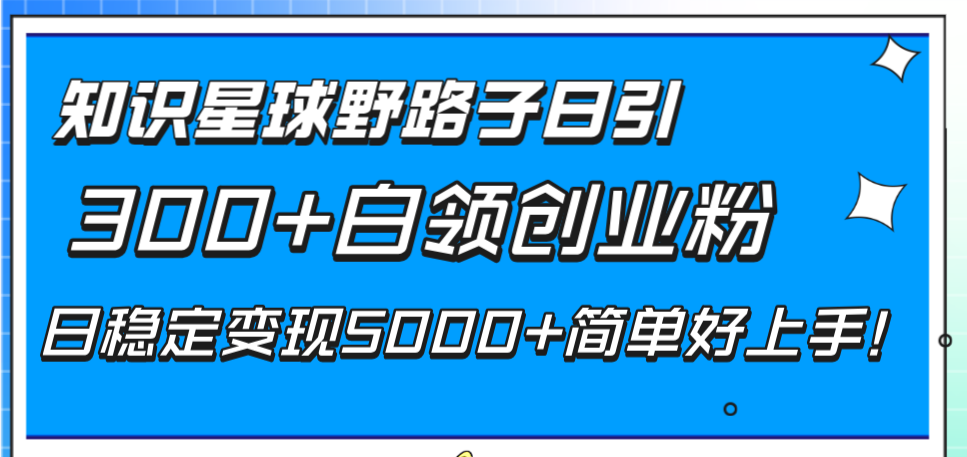 （8315期）知识星球野路子日引300+白领创业粉，日稳定变现5000+简单好上手！-占领资源网