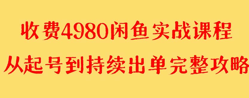 （8359期）外面收费4980闲鱼无货源实战教程 单号4000+-占领资源网