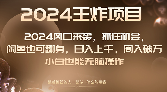（8401期）2024风口项目来袭，抓住机会，闲鱼也可翻身，日入上千，周入破万，小白…-占领资源网