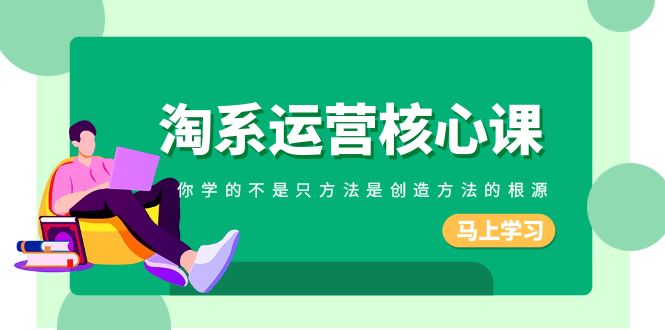 （8392期）淘系-运营核心课，你学的不是只方法是创造方法的根源（190节课）-占领资源网