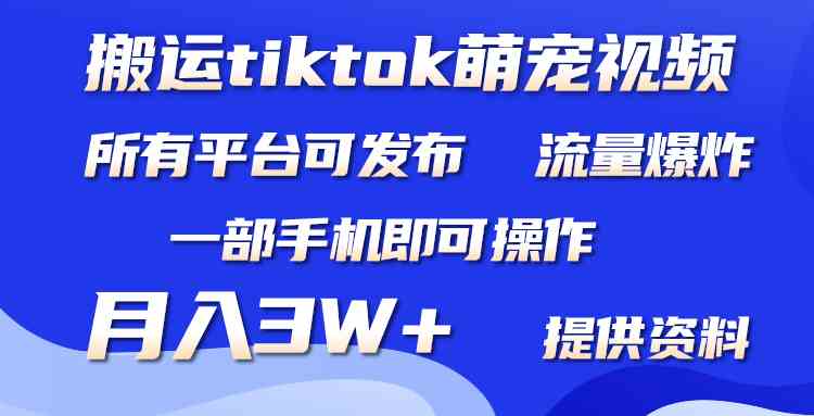 （9618期）搬运Tiktok萌宠类视频，一部手机即可。所有短视频平台均可操作，月入3W+-占领资源网