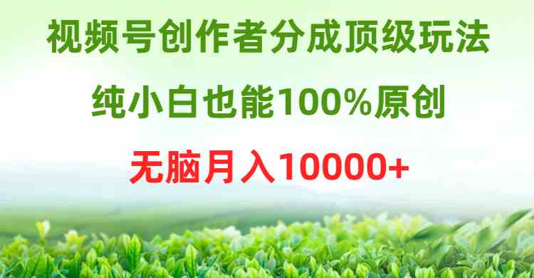 （9608期）视频号创作者分成顶级玩法，纯小白也能100%原创，无脑月入10000+-占领资源网