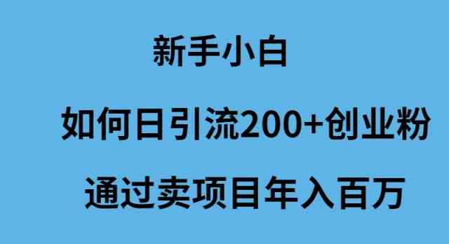 （9668期）新手小白如何日引流200+创业粉通过卖项目年入百万-占领资源网
