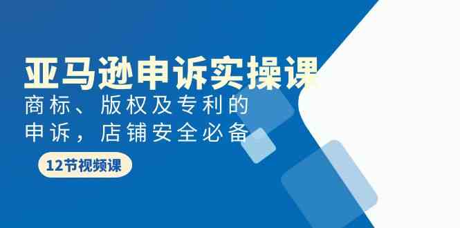 （9754期）亚马逊-申诉实战课，​商标、版权及专利的申诉，店铺安全必备-占领资源网