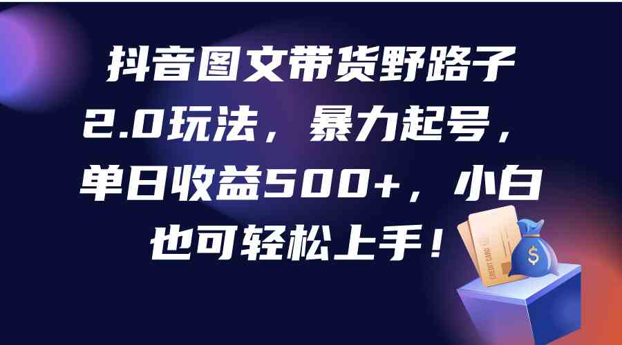 （9790期）抖音图文带货野路子2.0玩法，暴力起号，单日收益500+，小白也可轻松上手！-占领资源网