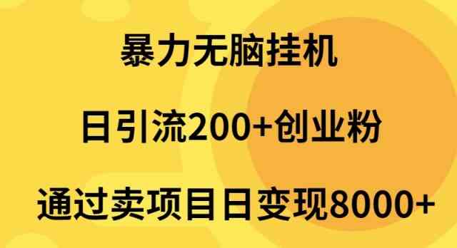 （9788期）暴力无脑挂机日引流200+创业粉通过卖项目日变现2000+-占领资源网