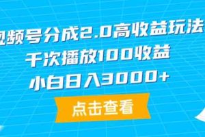 （9716期）视频号分成2.0高收益玩法，千次播放100收益，小白日入3000+-占领资源网