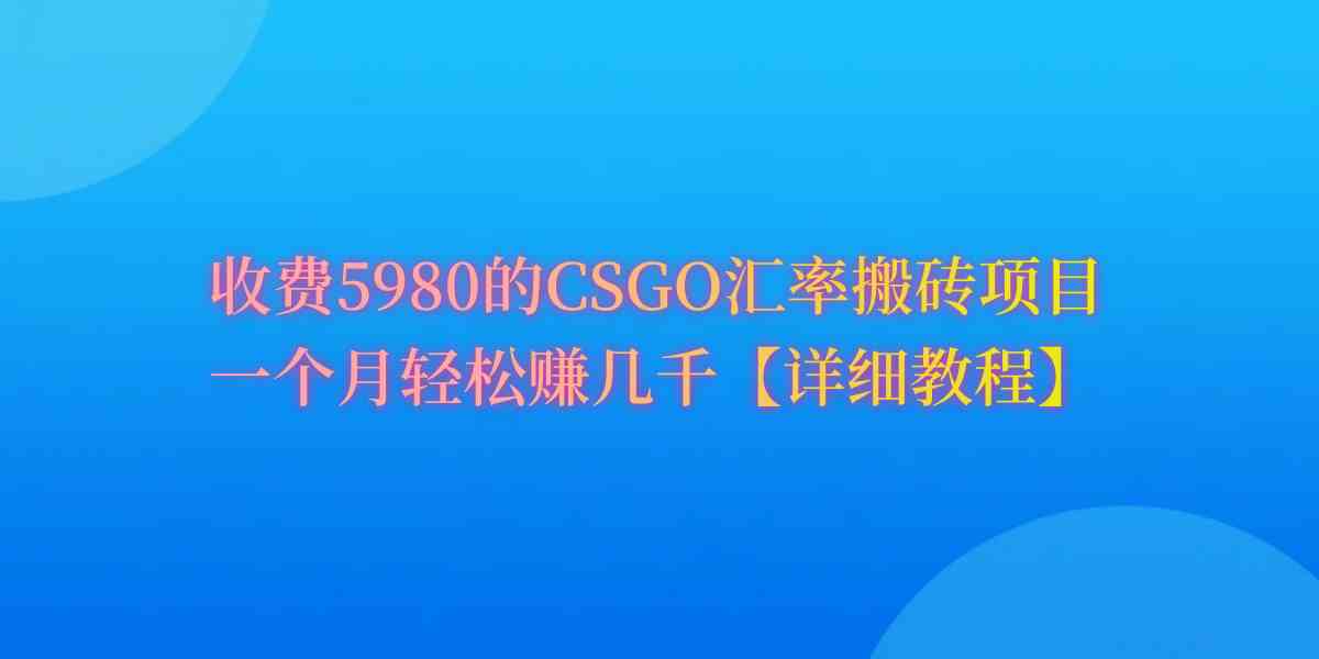 （9776期）CSGO装备搬砖，月综合收益率高达60%，你也可以！-占领资源网