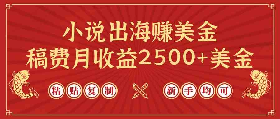 （9765期）小说出海赚美金，稿费月收益2500+美金，仅需chatgpt粘贴复制，新手也能玩转-占领资源网