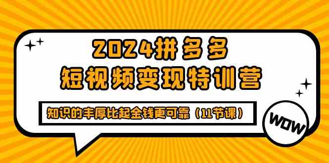 （9817期）2024拼多多短视频变现特训营，知识的丰厚比起金钱更可靠（11节课）-占领资源网
