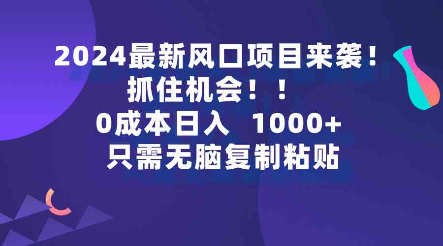 （9899期）2024最新风口项目来袭，抓住机会，0成本一部手机日入1000+，只需无脑复…-占领资源网