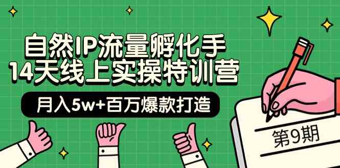 （9881期）自然IP流量孵化手 14天线上实操特训营【第9期】月入5w+百万爆款打造 (74节)-占领资源网