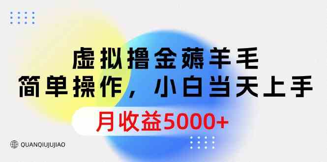 （9864期）虚拟撸金薅羊毛，简单操作，小白当天上手，月收益5000+-占领资源网