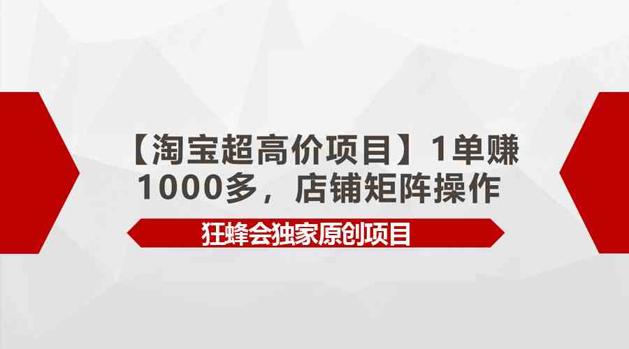 （9849期）【淘宝超高价项目】1单赚1000多，店铺矩阵操作-占领资源网