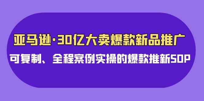 （9944期）亚马逊30亿·大卖爆款新品推广，可复制、全程案例实操的爆款推新SOP-占领资源网