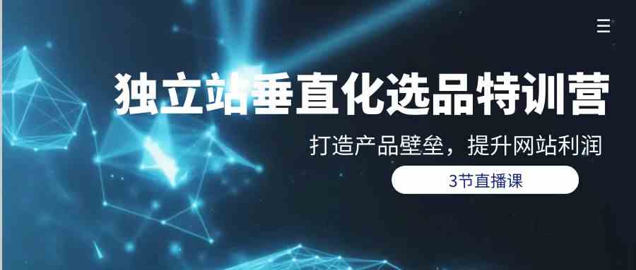 （9925期）独立站-垂直化选品训练营，打造产品壁垒，提升网站利润（3节直播课）-占领资源网