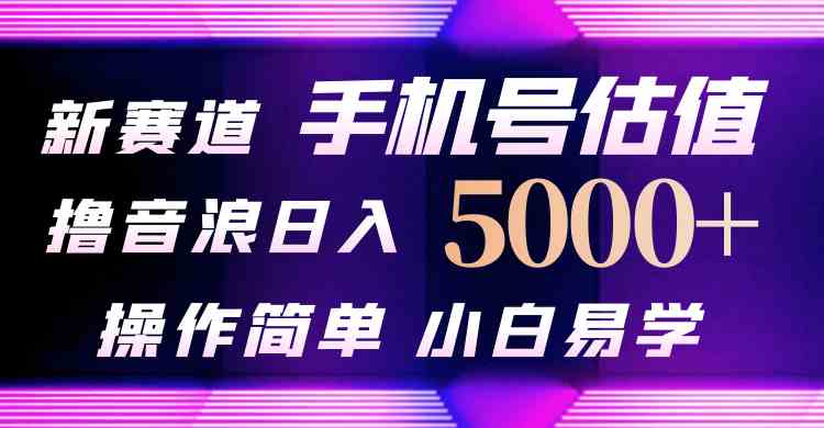 （10154期）抖音不出境直播【手机号估值】最新撸音浪，日入5000+，简单易学，适合…-占领资源网