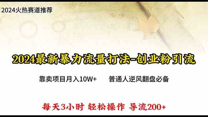 （10151期）2024年最新暴力流量打法，每日导入300+，靠卖项目月入10W+-占领资源网
