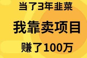 （10149期）当了3年韭菜，我靠卖项目赚了100万-占领资源网