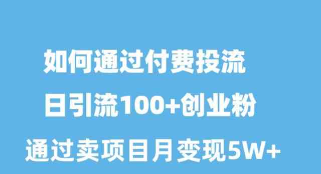 （10189期）如何通过付费投流日引流100+创业粉月变现5W+-占领资源网