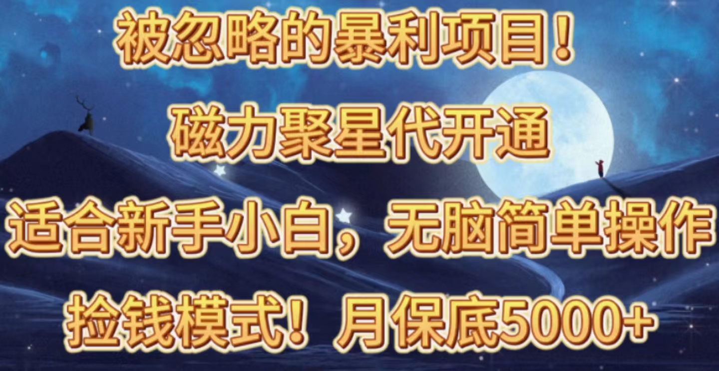 （10245期）被忽略的暴利项目！磁力聚星代开通捡钱模式，轻松月入五六千-占领资源网