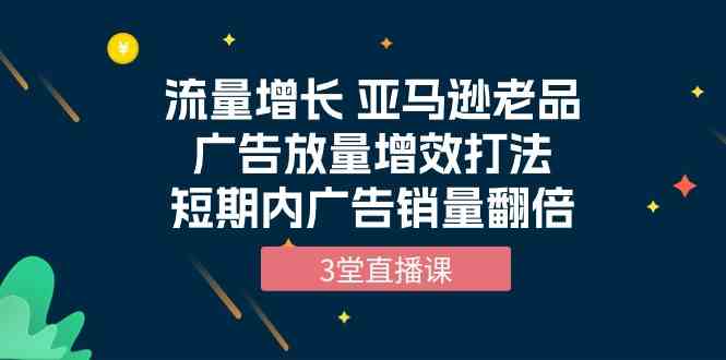 （10112期）流量增长 亚马逊老品广告放量增效打法，短期内广告销量翻倍（3堂直播课）-占领资源网
