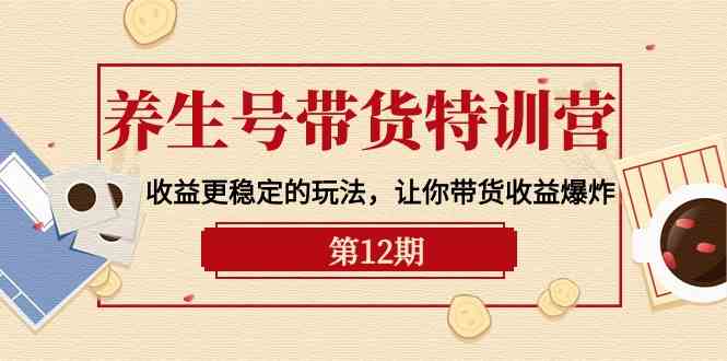 （10110期）养生号带货特训营【12期】收益更稳定的玩法，让你带货收益爆炸-9节直播课-占领资源网