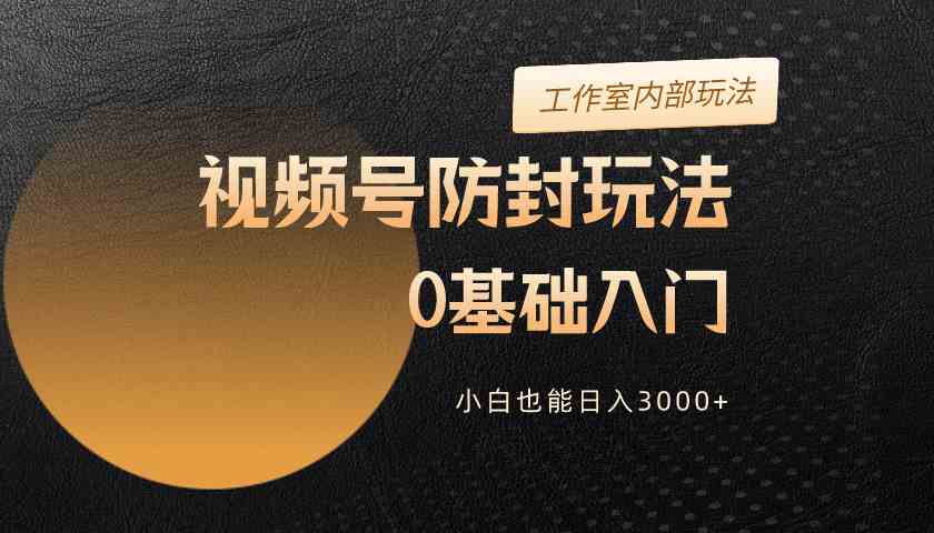 （10107期）2024视频号升级防封玩法，零基础入门，小白也能日入3000+-占领资源网