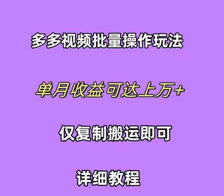 （10029期）拼多多视频带货快速过爆款选品教程 每天轻轻松松赚取三位数佣金 小白必…-占领资源网