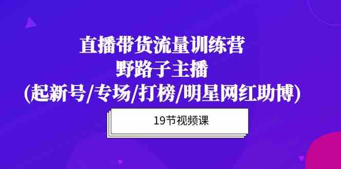 （10016期）直播带货流量特训营，野路子主播(起新号/专场/打榜/明星网红助博)19节课-占领资源网