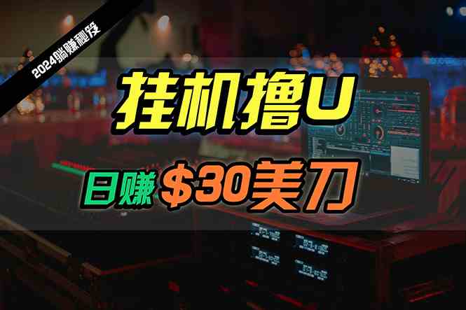 （10013期）日赚30美刀，2024最新海外挂机撸U内部项目，全程无人值守，可批量放大-占领资源网
