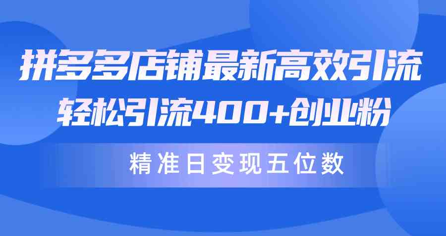 （10041期）拼多多店铺最新高效引流术，轻松引流400+创业粉，精准日变现五位数！-占领资源网