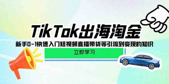 （10035期）TikTok-出海淘金，新手0-1快速入门短视频直播带货等引流到变现的知识-占领资源网