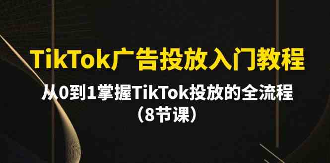 （10085期）TikTok广告投放入门教程，从0到1掌握TikTok投放的全流程（8节课）-占领资源网